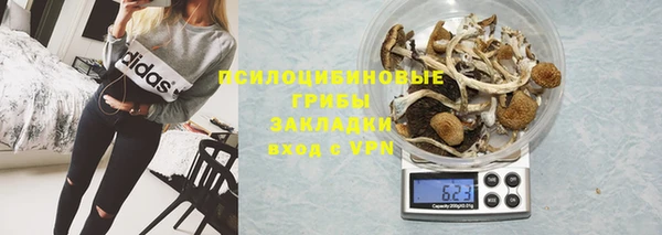 кокс Нея