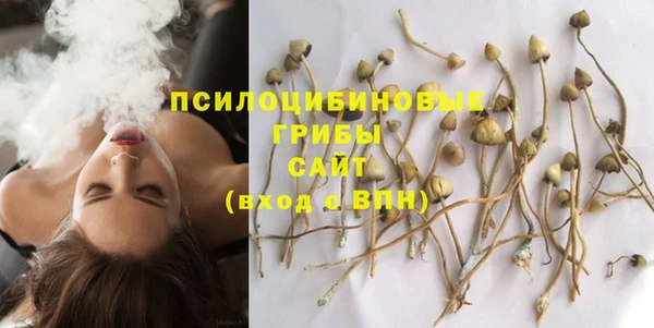 альфа пвп Нефтегорск