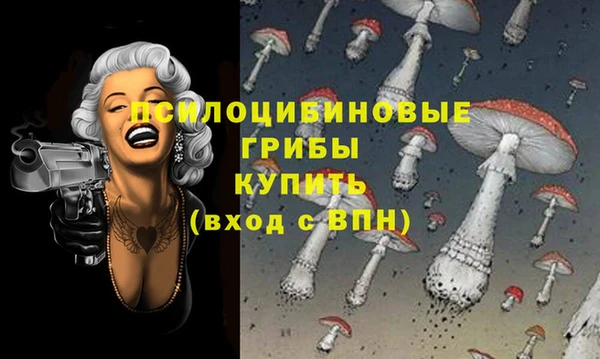 кокс Нея