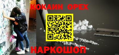 крисы Кинель