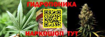 крисы Кинель