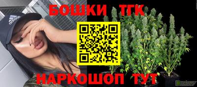 крисы Кинель