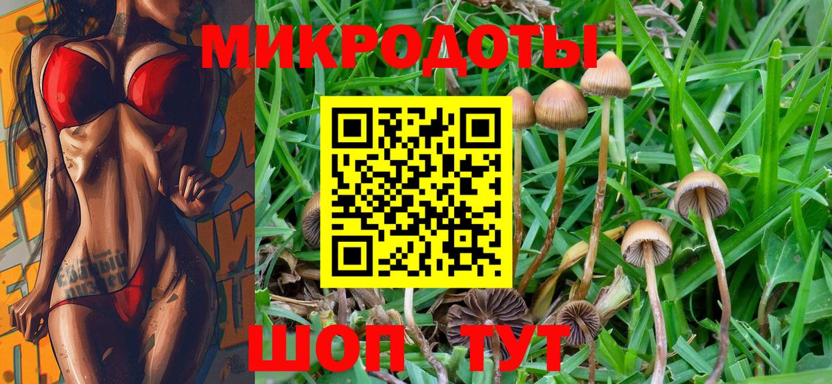 Галлюциногенные грибы Psilocybe Тулун