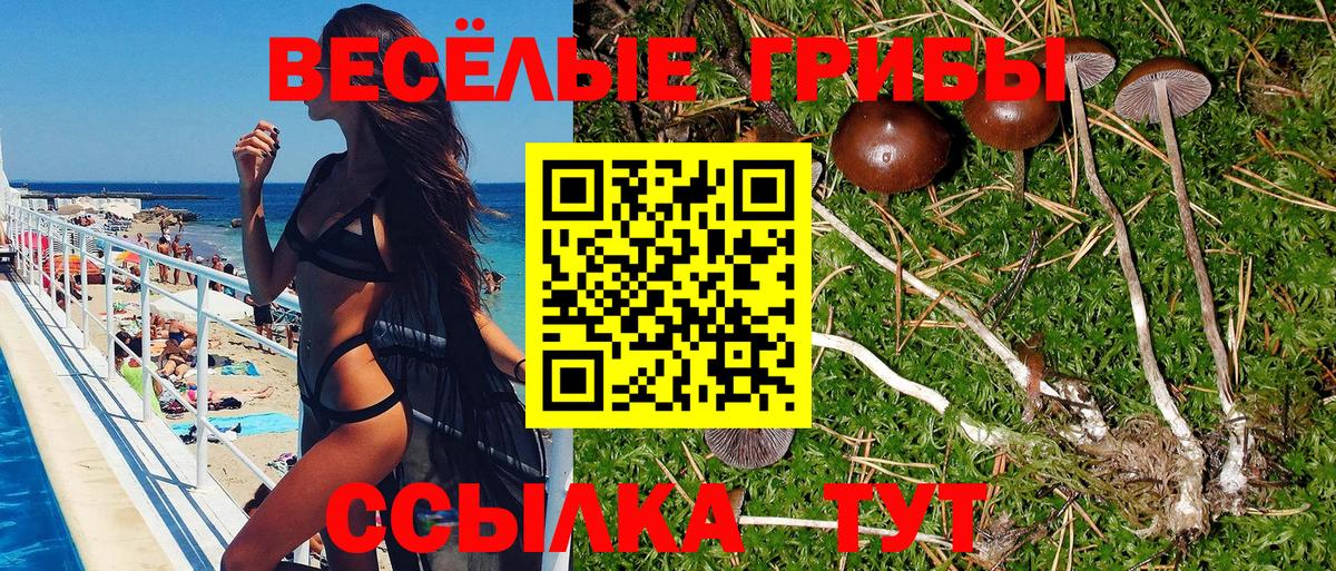 Тулун  Псилоцибиновые грибы мицелий  Вход с VPN  Галлюциногенные грибы Cubensis 